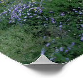 Paarse Fleabane (erigeron peregrinus) en Geel Poster (Hoek)