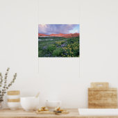 Paarse Fleabane (erigeron peregrinus) en Geel Poster (Keuken)