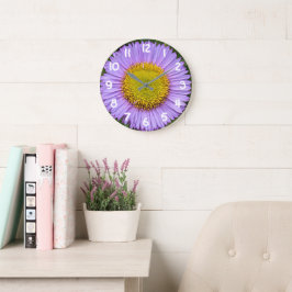Paarse Fleabane Madeliefje Bloem Grote Klok