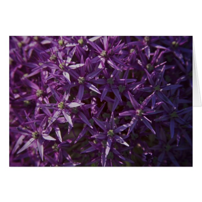 Paarse Floral Bloom Blank Card (Voorkant Horizontaal)