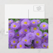 Paarse Floral Briefkaart (Voorkant / Achterkant)