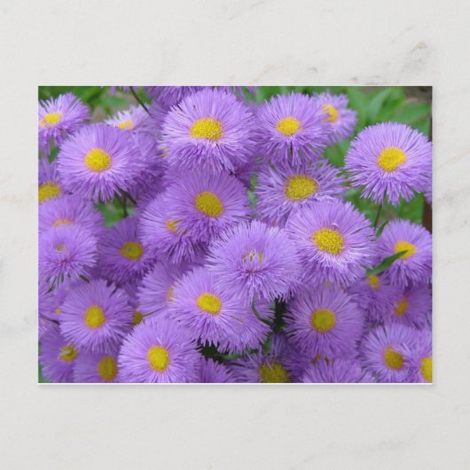 Paarse Floral Briefkaart (Voorkant)