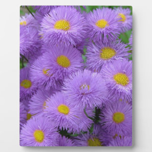Paarse Floral Fotoplaat