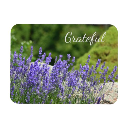Paarse Floral Gratitude Magneet (Horizontaal)