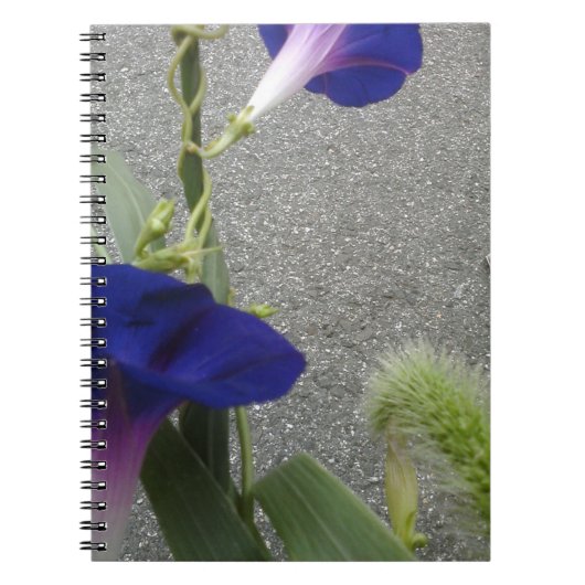 Paarse Floral Notitieboek (Voorkant)