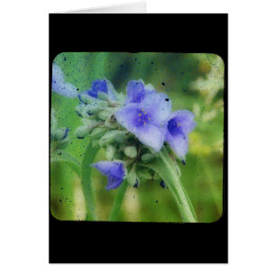 Paarse Floral TTV