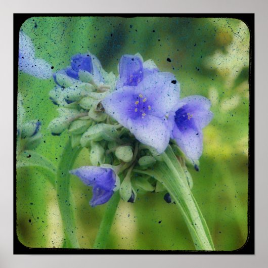 Paarse Floral TTV Poster (Voorkant)