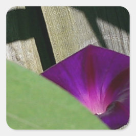 Paarse Floral Vierkante Sticker