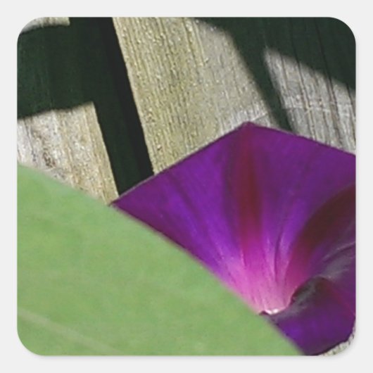 Paarse Floral Vierkante Sticker (Voorkant)