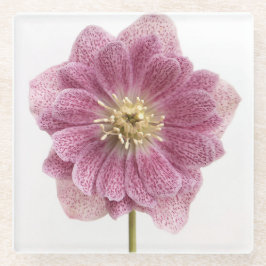 Paarse Flower Glass Onderzetter Glazen Onderzetter