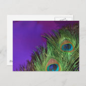Paarse Foil Peacock Briefkaart (Voorkant / Achterkant)