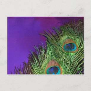 Paarse Foil Peacock Briefkaart