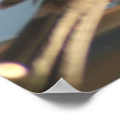 Paarse foto van Finch Bird Poster (Hoek)