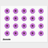  Paarse Fotografie Gerbera Daisy Flower Ronde Sticker (Vel)