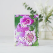 Paarse Foxglove in Full Bloom Briefkaart (Staand voorkant)