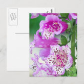 Paarse Foxglove in Full Bloom Briefkaart (Voorkant / Achterkant)