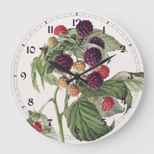 Paarse frambozenfruit illustratie Grote Klok