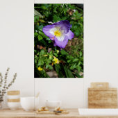 Paarse Freesia Bloemen Poster (Keuken)