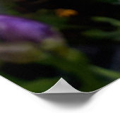 Paarse Freesia Bloemen Poster (Hoek)