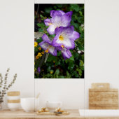 Paarse Freesia Bloemen Poster (Keuken)
