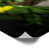 Paarse Freesia Flowers Poster (Hoek)