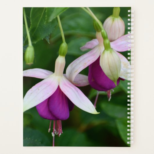 Paarse Fuchsia Flowers met White Sepals Floral Planner (Achterkant)
