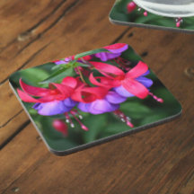 Paarse Fuchsia met roze Sepals Floral