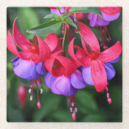 Paarse Fuchsia met roze Sepals Floral Glazen Onderzetter