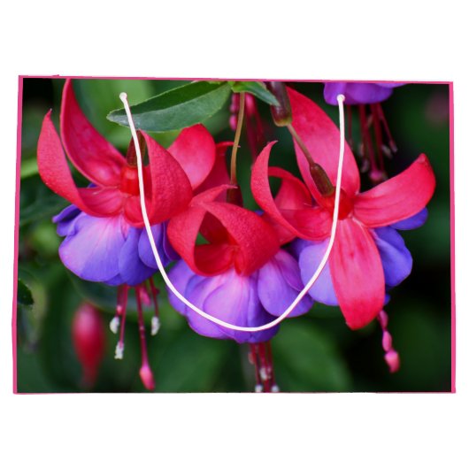 Paarse Fuchsia met roze Sepals Floral Groot Cadeauzakje (Achterkant)
