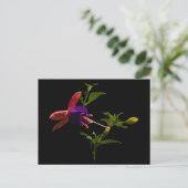 Paarse fuchsiabloem briefkaart (Staand voorkant)