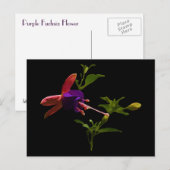 Paarse fuchsiabloem briefkaart (Voorkant / Achterkant)