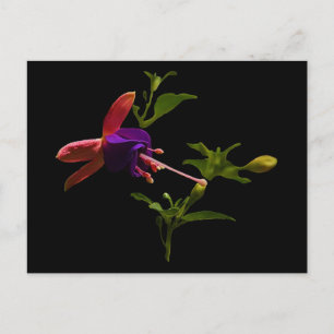 Paarse fuchsiabloem briefkaart