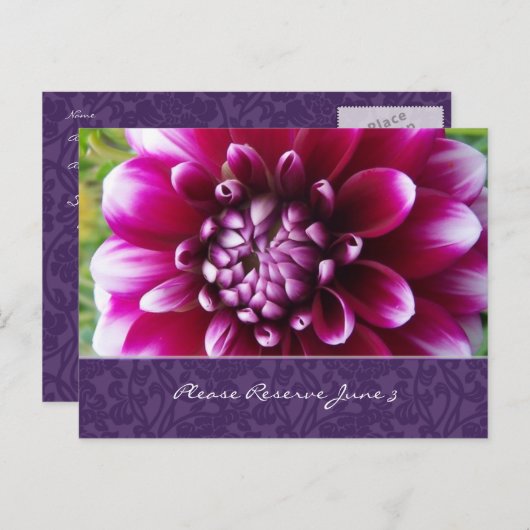 Paarse Fuschia Dahlia Bewaar de datum Aankondigingskaart (Voorkant / Achterkant)