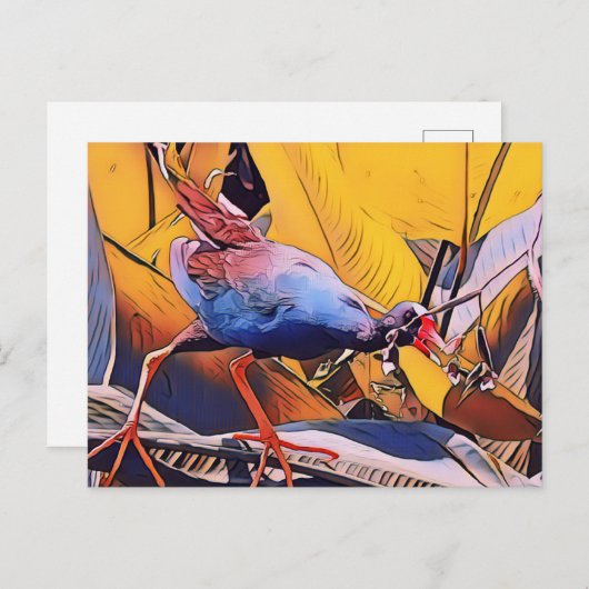 Paarse Gallinule Briefkaart (Voorkant / Achterkant)