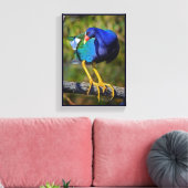 Paarse Gallinule Canvas Afdruk (Insitu (Woonkamer))