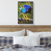 Paarse Gallinule Canvas Afdruk (Insitu (Slaapkamer))