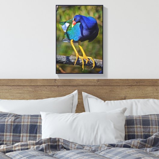 Paarse Gallinule Canvas Afdruk (Insitu (Slaapkamer))