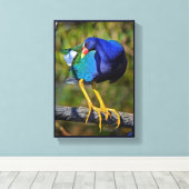 Paarse Gallinule Canvas Afdruk (Insitu (Houten vloer))