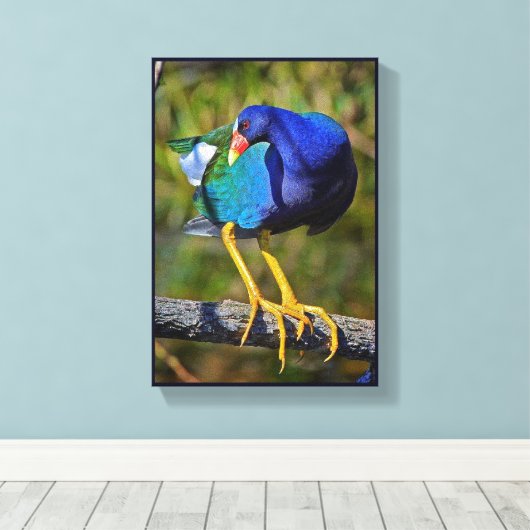 Paarse Gallinule Canvas Afdruk (Insitu (Houten vloer))