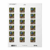 paarse gallinule etiket (Full Sheet)