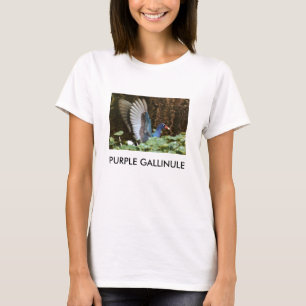 PAARSE GALLINULE T-SHIRT
