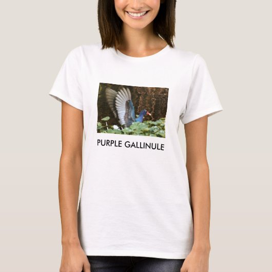 PAARSE GALLINULE T-SHIRT (Voorkant)