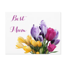  paarse geel roze tulpenbloemen voor mama