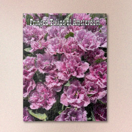 Paarse Gefranjerde Tulpen van Amsterdam Legpuzzel