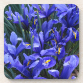 Paarse geïsoleerde Irisse Floral Bier Onderzetter (Voorkant)