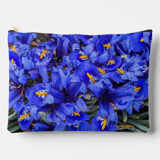 Paarse geïsoleerde Irisse Floral Etui (Voorkant)