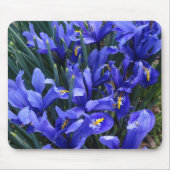 Paarse geïsoleerde Irisse Floral Muismat (Voorkant)