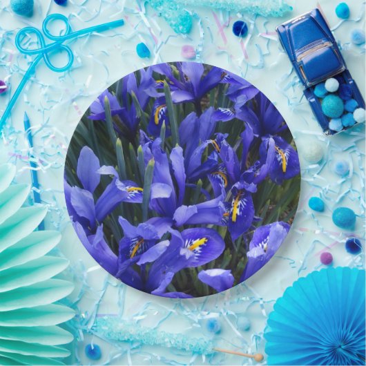 Paarse geïsoleerde Irisse Floral Papieren Bordje (Feest)