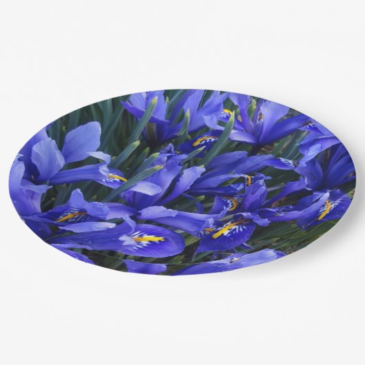 Paarse geïsoleerde Irisse Floral Papieren Bordje (Gekanteld)