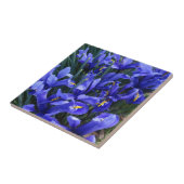 Paarse geïsoleerde Irisse Floral Tegeltje (Zijkant)